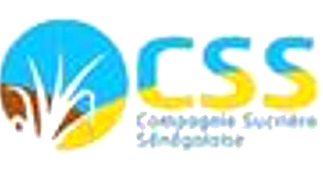 CSS