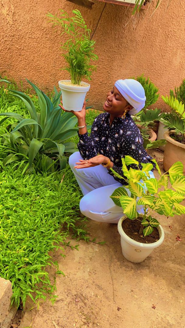 Production de plantes ornementales