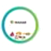 MASAE